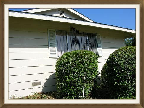 Window guard shown with fire release open