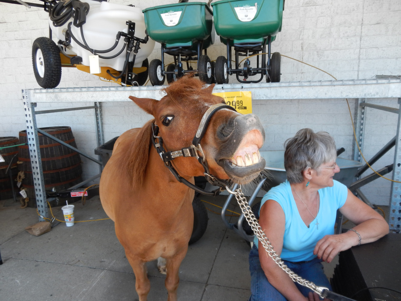 Clyde smiling for the camera at Tractor Supply in Follansbee, West Virginia.