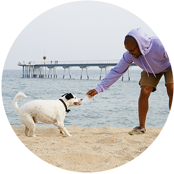 Pet Care Expert