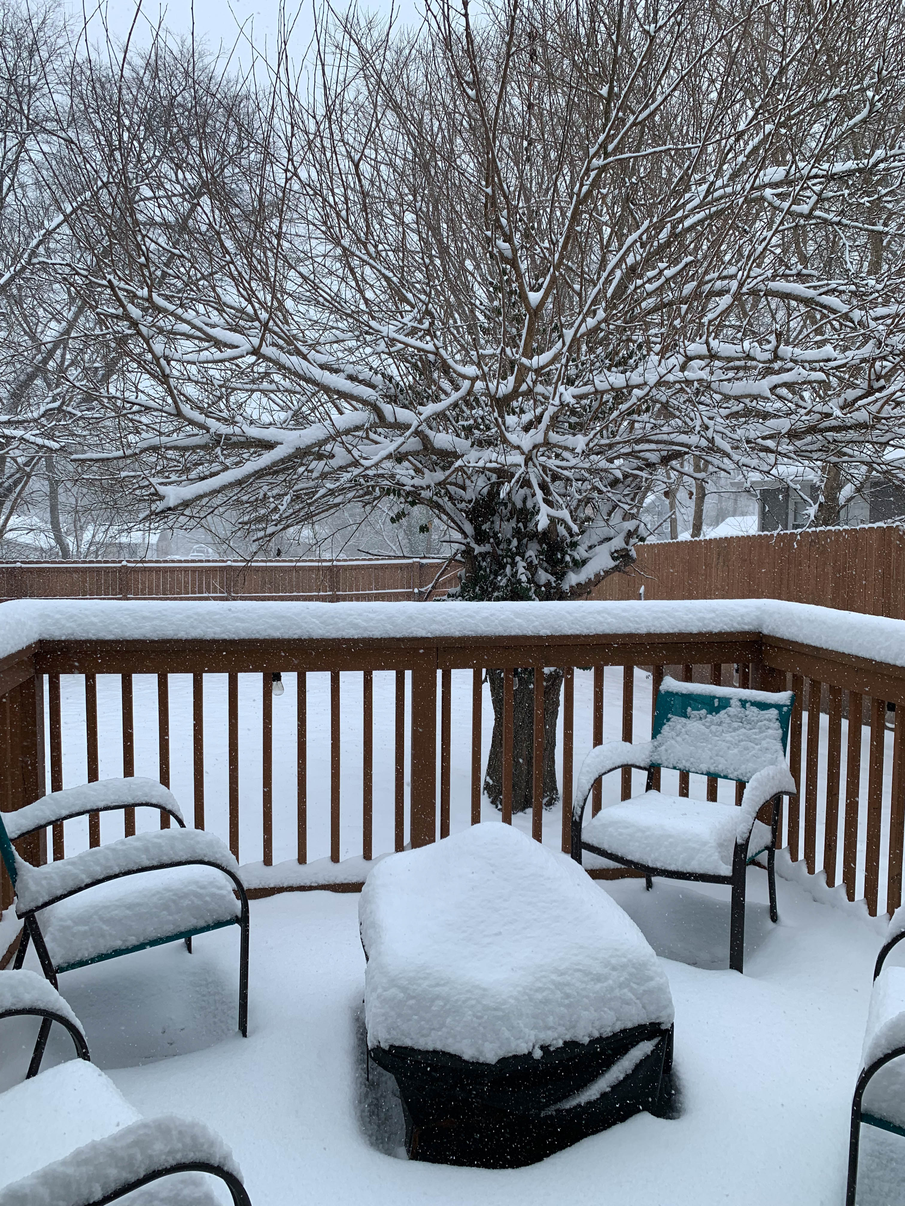We were not expecting this much snow!
