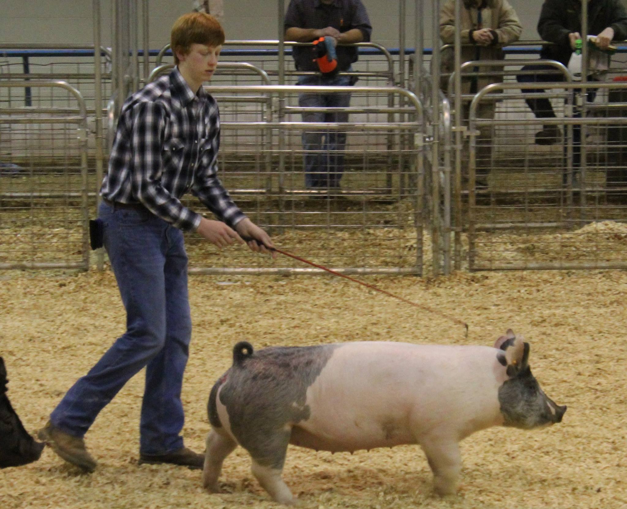 Garrett Franklin
Reserve Division Champion
2016 TN State Market Hog Show