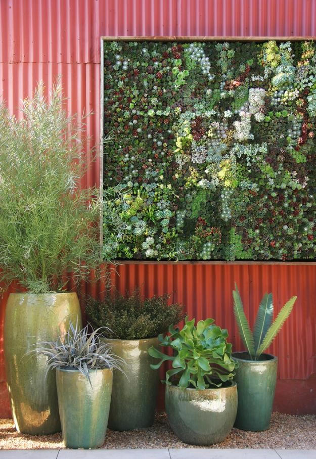 Do you love succulents or vertical living walls?