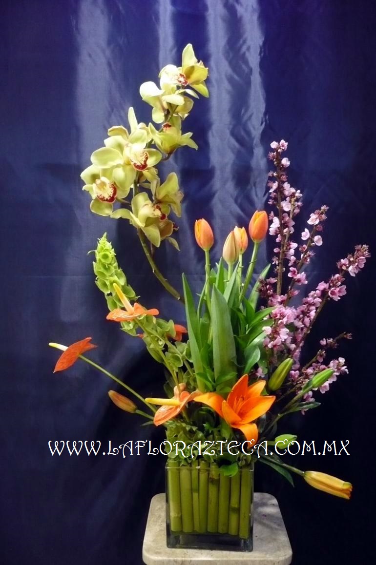 LFA-DA013
Precio $2,580