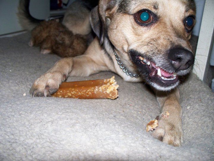 https://0201.nccdn.net/1_2/000/000/13a/ada/dugg-dem.jpg