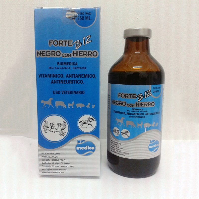 https://0201.nccdn.net/1_2/000/000/13a/c65/forte-b12-negro-con-hierro-800x800.jpg