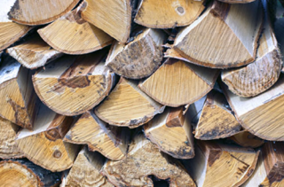 Maple Wood Maple Wood