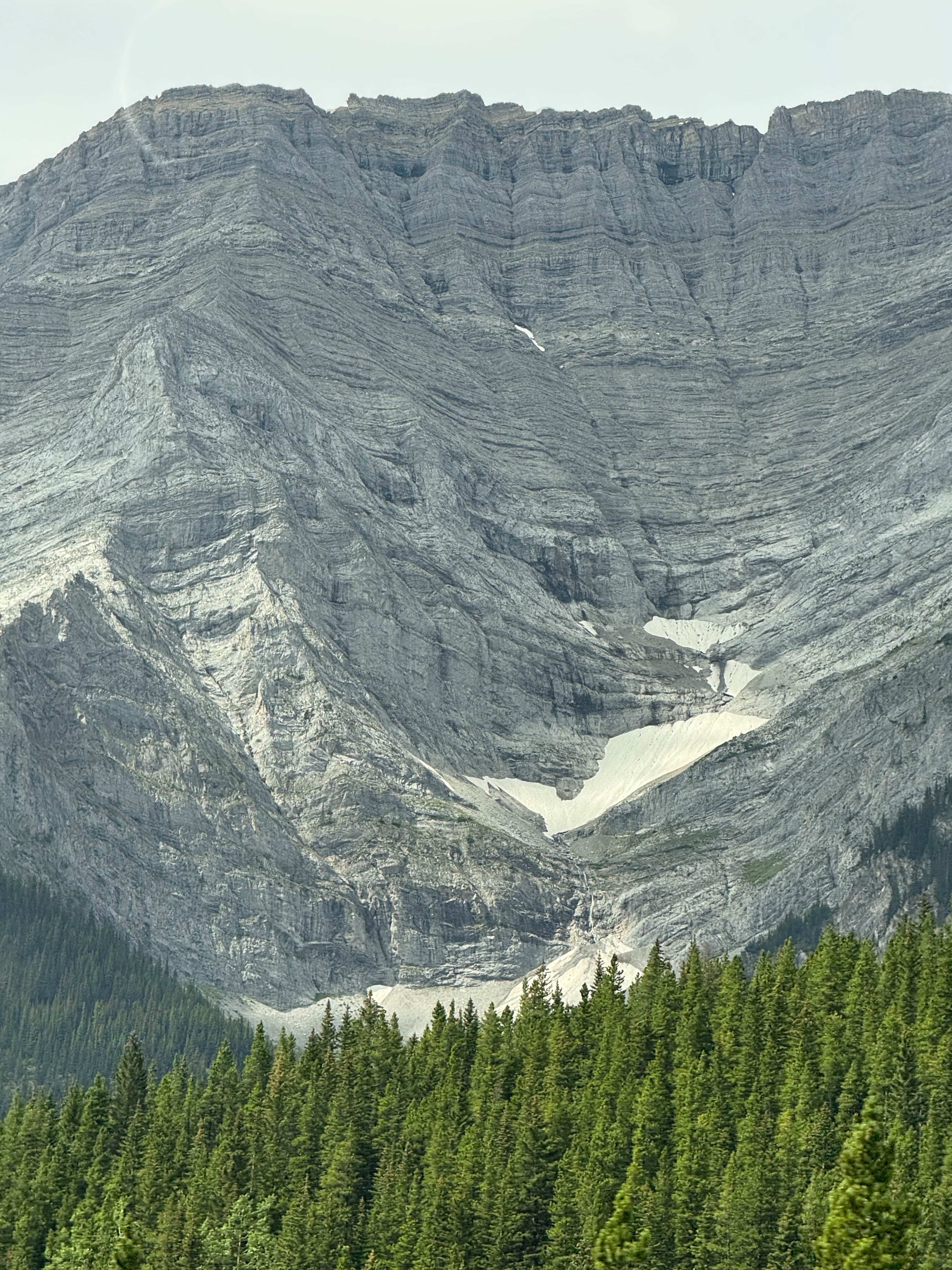 https://0201.nccdn.net/1_2/000/000/13a/e9d/calgary-order-151.jpg