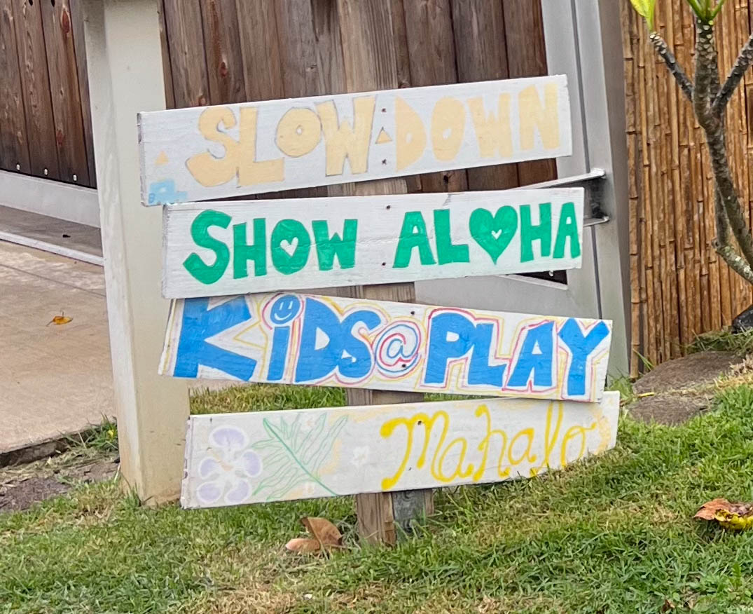 https://0201.nccdn.net/1_2/000/000/13a/eee/hawaii-order-60.jpg