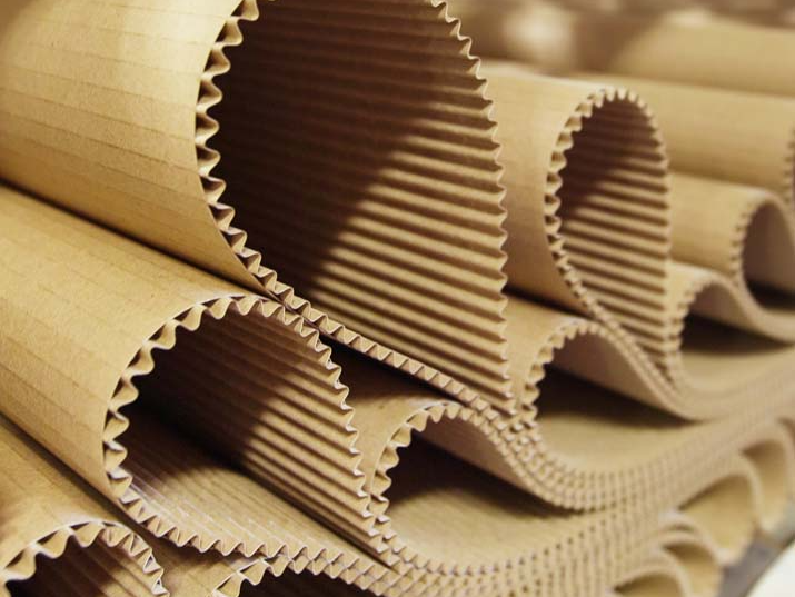 Espacio moderno con cajas de cartón y plantas verdes en un almacén iluminado por luz natural.