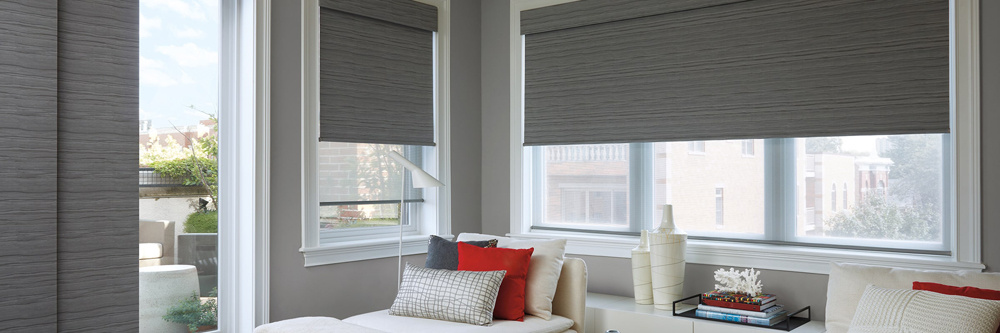 Roller and Panel Shades