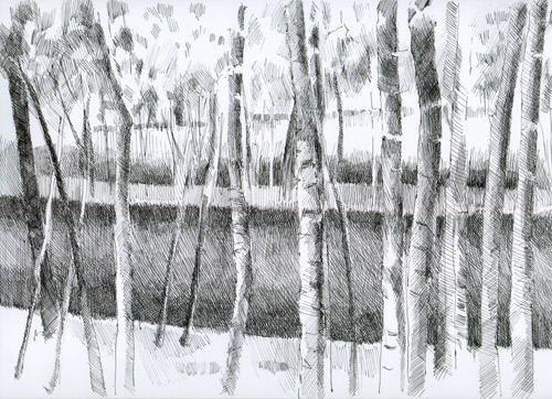 Places/Trees: Study of Tate Trees #1