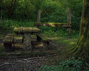 Bogaschiel River Park picnic table slightly off season