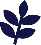Twig with leaves icon