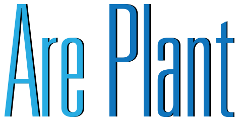 Generadores Eléctricos - Areplant - Estado de México