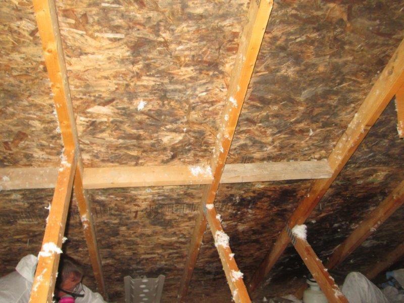 Sanding and Brushing "Before"