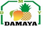 DESHIDRATADORA DE MANGO ORGANICO