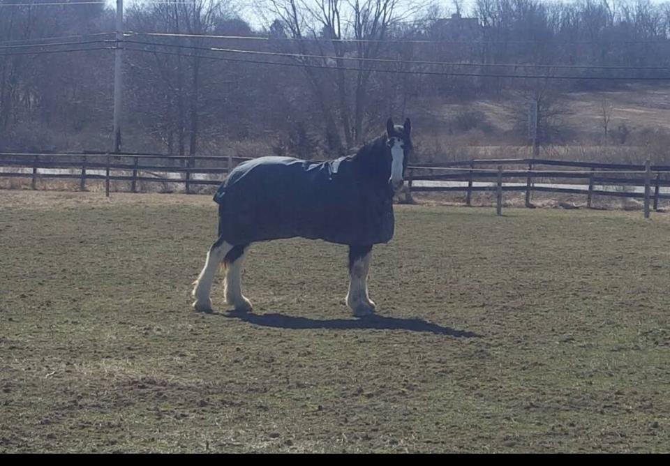 Teddy: Eighteen Months