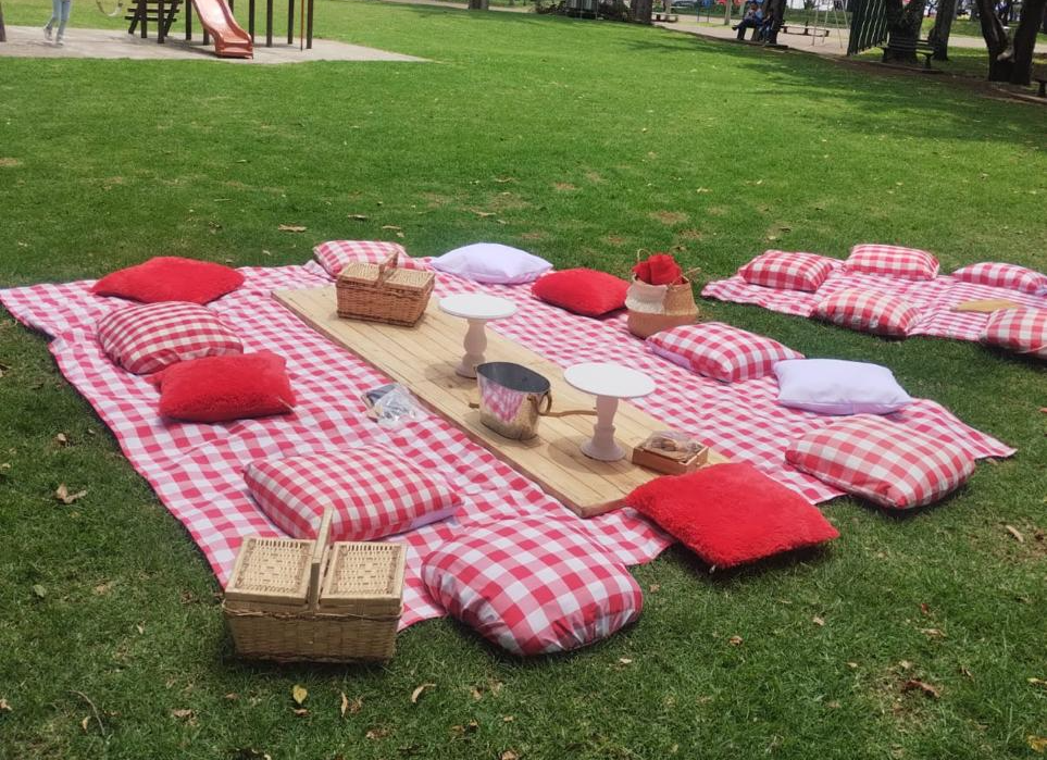 Cojin a Cuadros
Medidas 50x50cm
$5.000 Alquiler