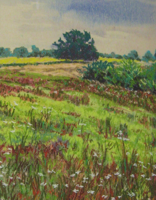 Kaddeche The Field, Labige, France, 12x9 Pastel