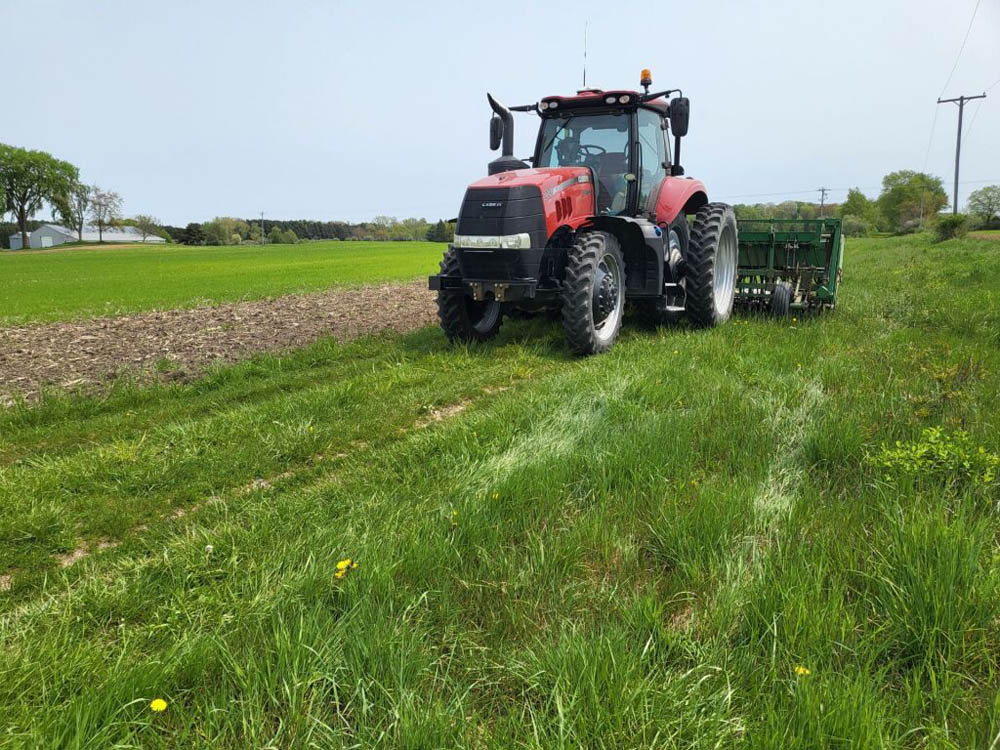 OFM farmer plowing down cover crop