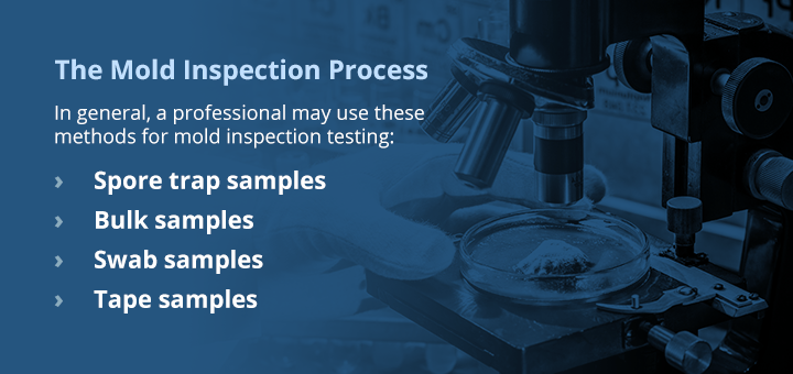 mold inspection orlando