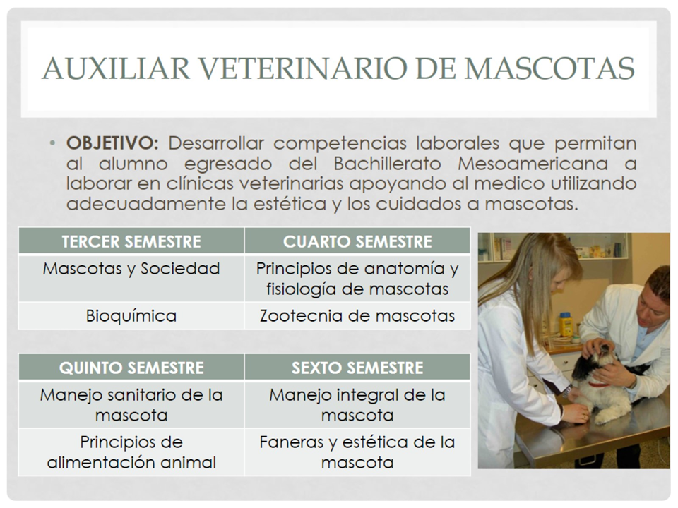 https://0201.nccdn.net/1_2/000/000/13c/ed5/diapositiva2.png