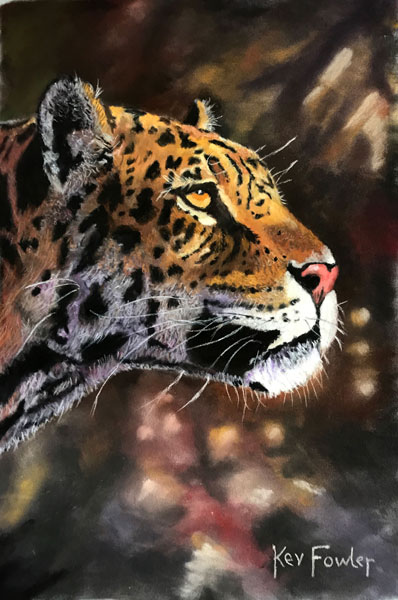 Jaguar - Pastel