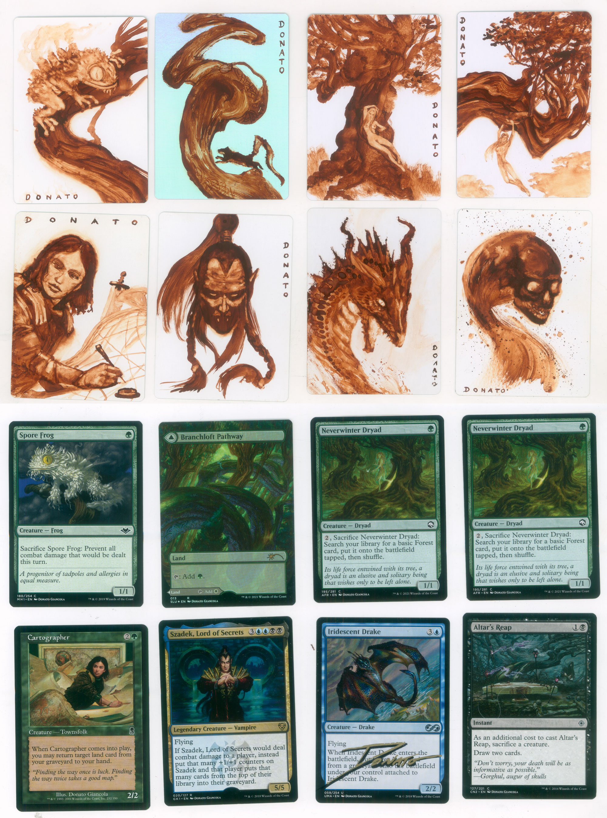https://0201.nccdn.net/1_2/000/000/13c/ef6/magic-proofs-micropaintings-40-sporefrog-branchloft-dryad-cartog.jpg