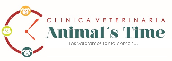 Título del sitio