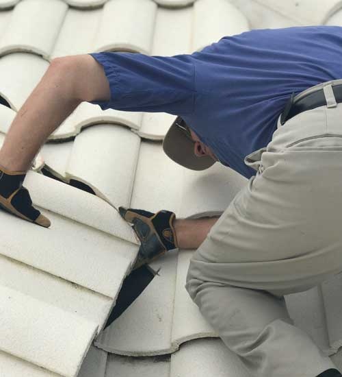 Roof Care Services