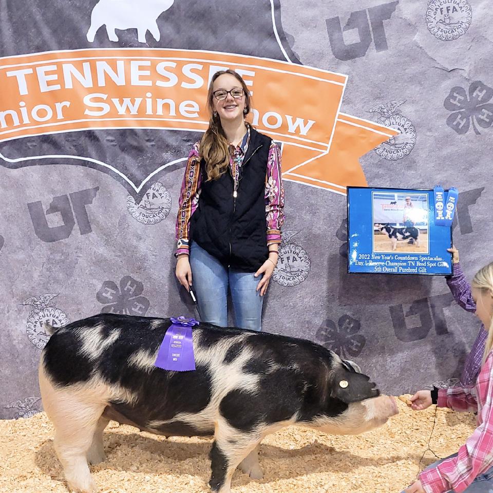 Ivy Johnson
2023 TN State 4-H Swine Show
Champion TN Bred Spot Gilt