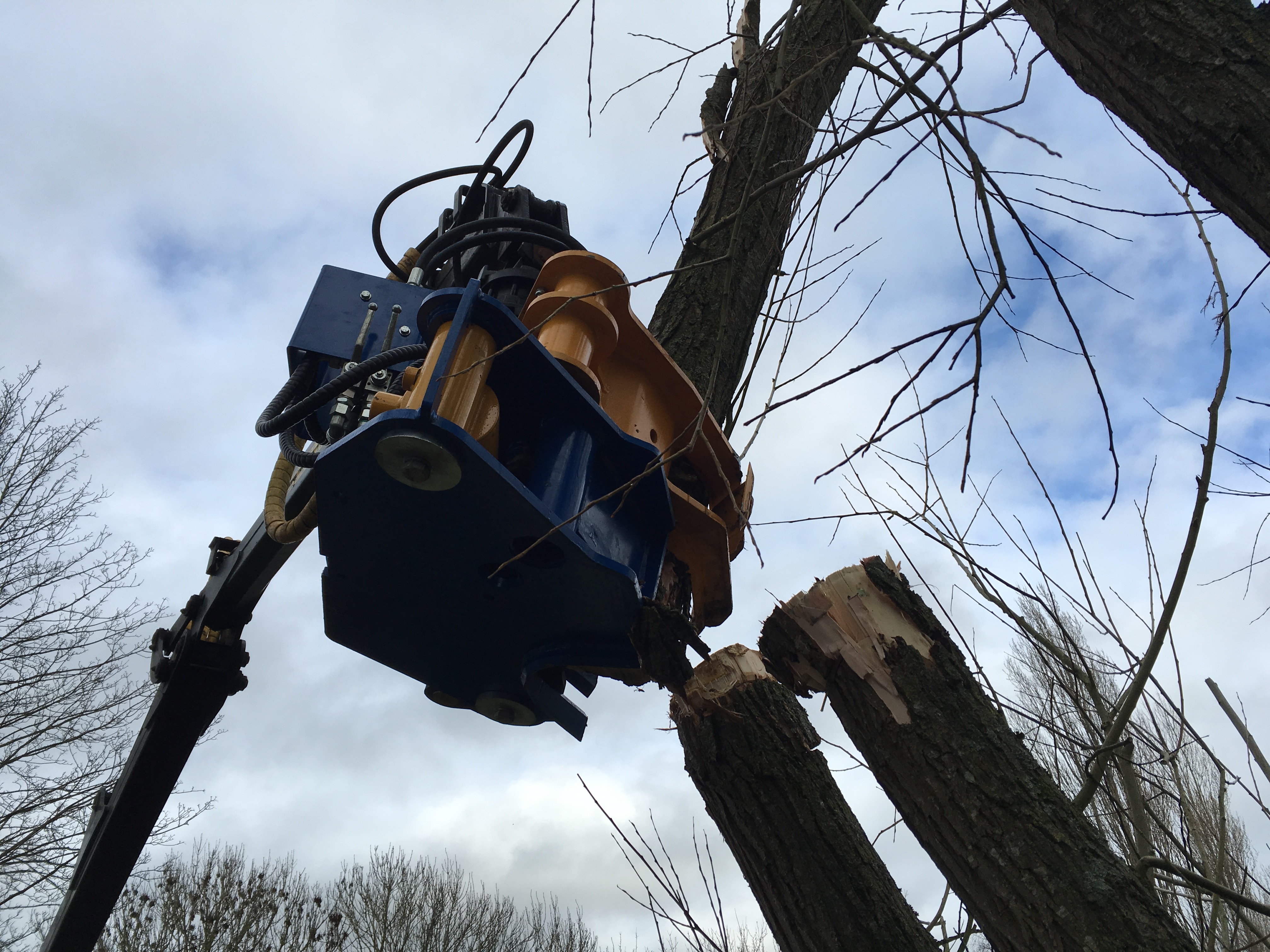 WOOD CHIPPING SERVICES Gallery