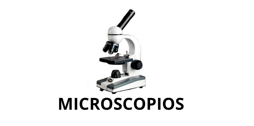 https://0201.nccdn.net/1_2/000/000/13d/be3/cloruro-de-sodio--7-.png