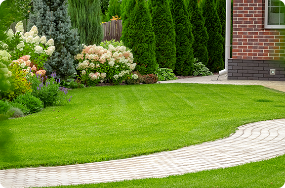 Freshly cut grass