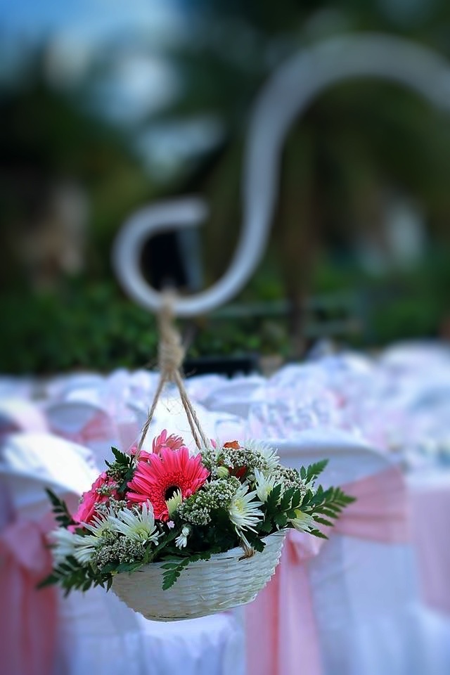 https://0201.nccdn.net/1_2/000/000/13e/761/bastonflores_Fotor-640x960.jpg