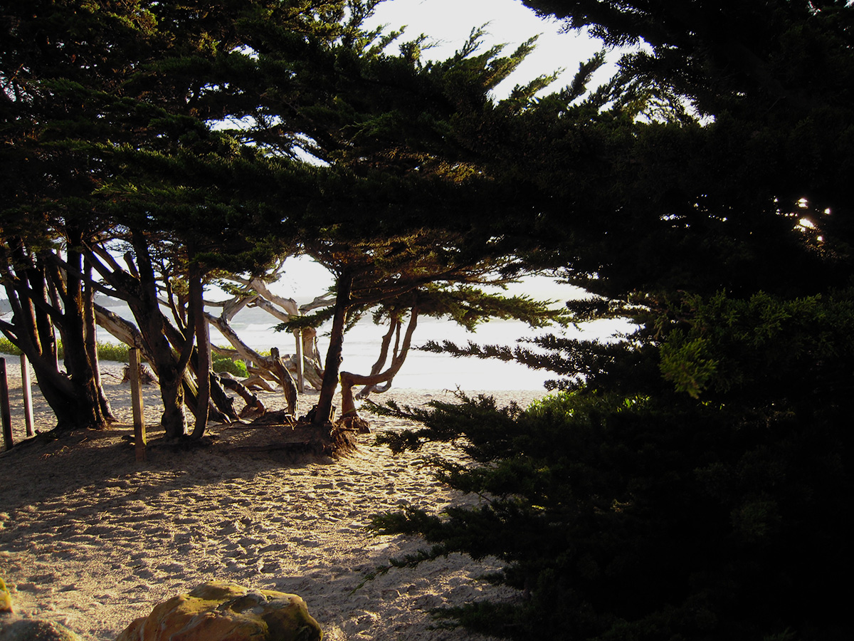 Carmel Beach