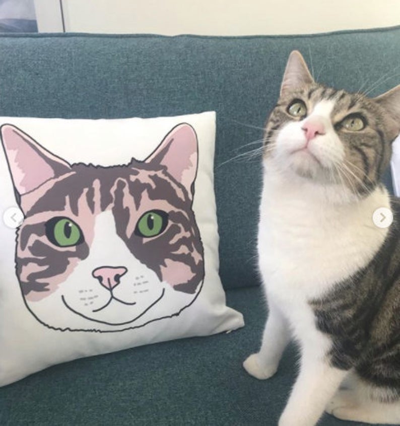 Custom Cat Cushion