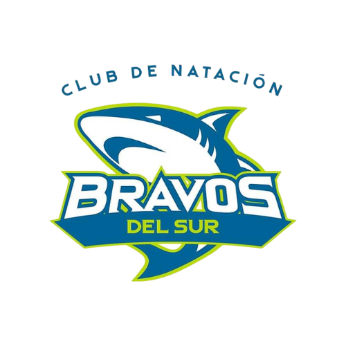 https://0201.nccdn.net/1_2/000/000/13e/d38/bravos-del-sur.png