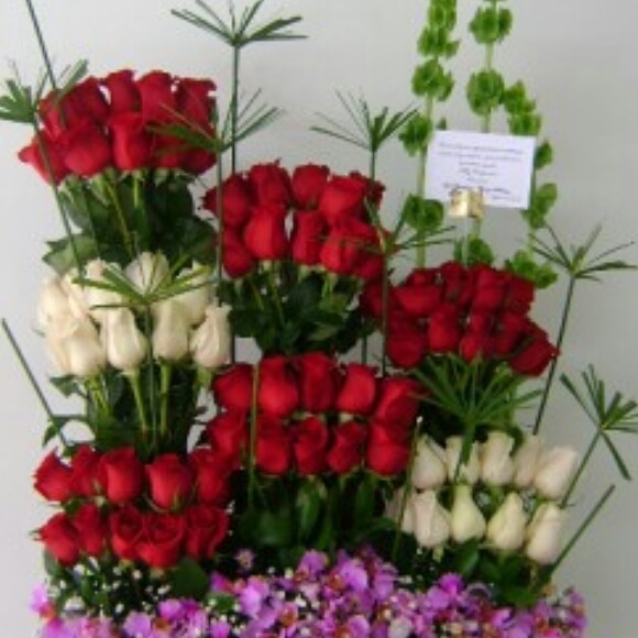 https://0201.nccdn.net/1_2/000/000/13f/065/IMG-20190430-WA0083.jpg