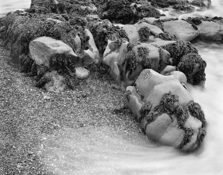 Point Lobos Spindrift