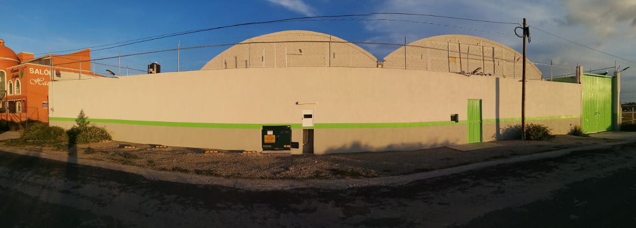 BARDA PERIMETRAL Y PINTURA