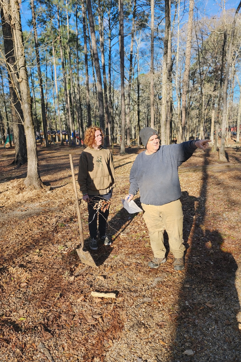 a close up of a tree branch with leaves