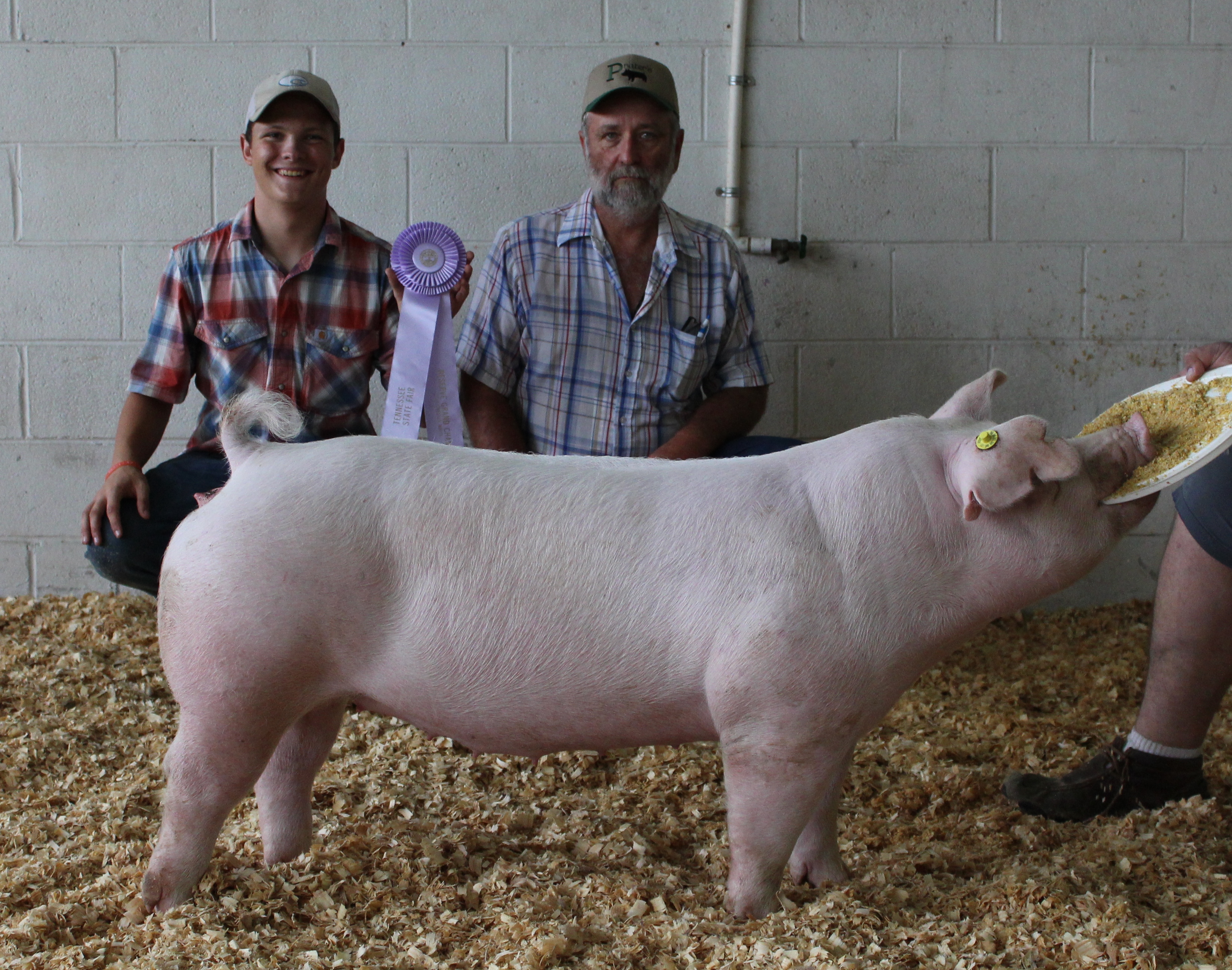 Hunter Curland
2018 Tennessee State Fair
Reserve Champion Chester White Gilt