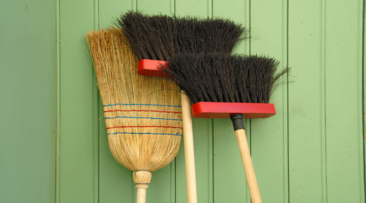 Proveedora de Fibra para Escoba - ESPIGA DE MIJO
