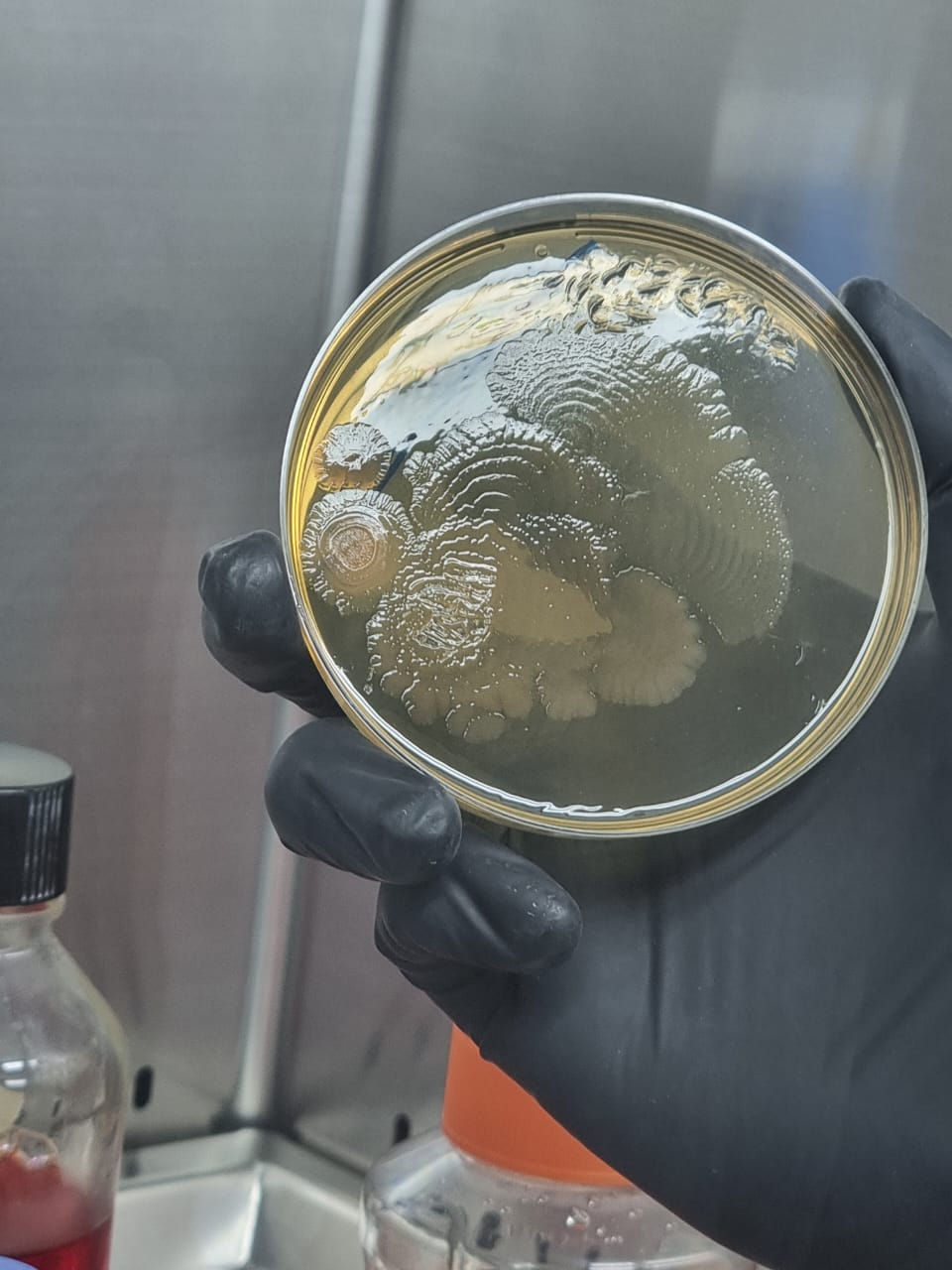 foto en escala de grises de un hombre dentro del laboratorio