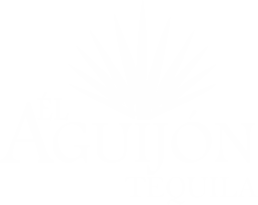 Casa El Aguijon