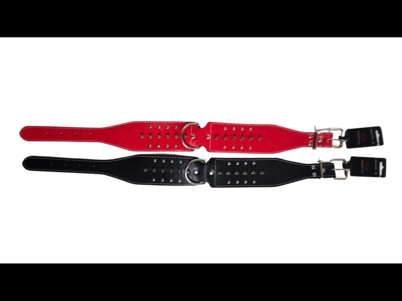 CVAP01 COLLAR VINIL ANCHO
 C/PICOS