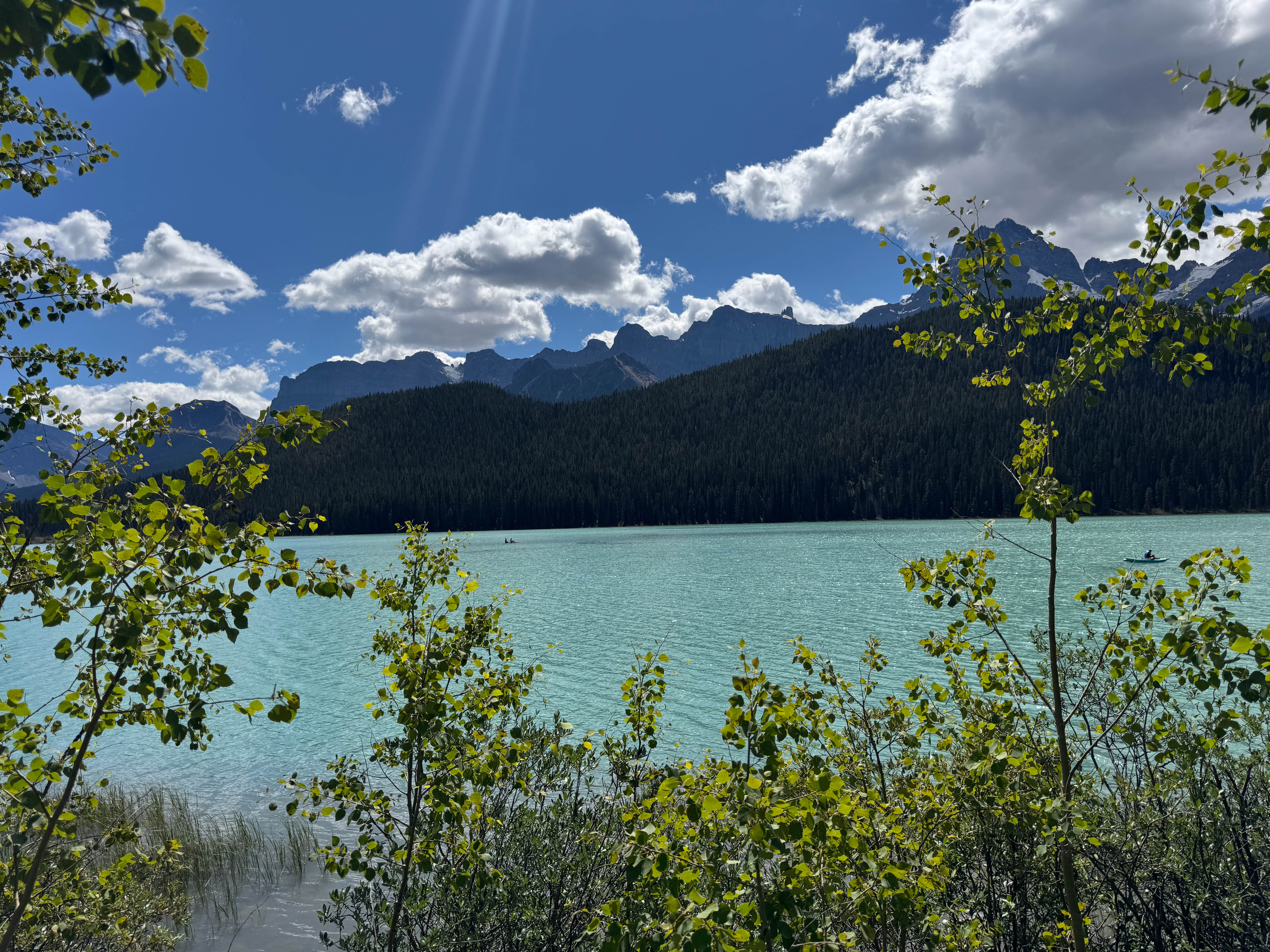 https://0201.nccdn.net/1_2/000/000/140/14e/calgary-order-200.jpg