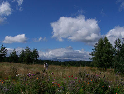 https://0201.nccdn.net/1_2/000/000/140/423/skgi_3901117_21793-400x301.jpg