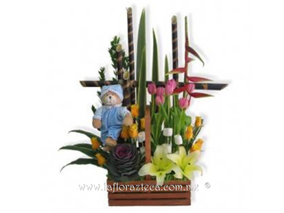 LFA-601
Precio $1,250